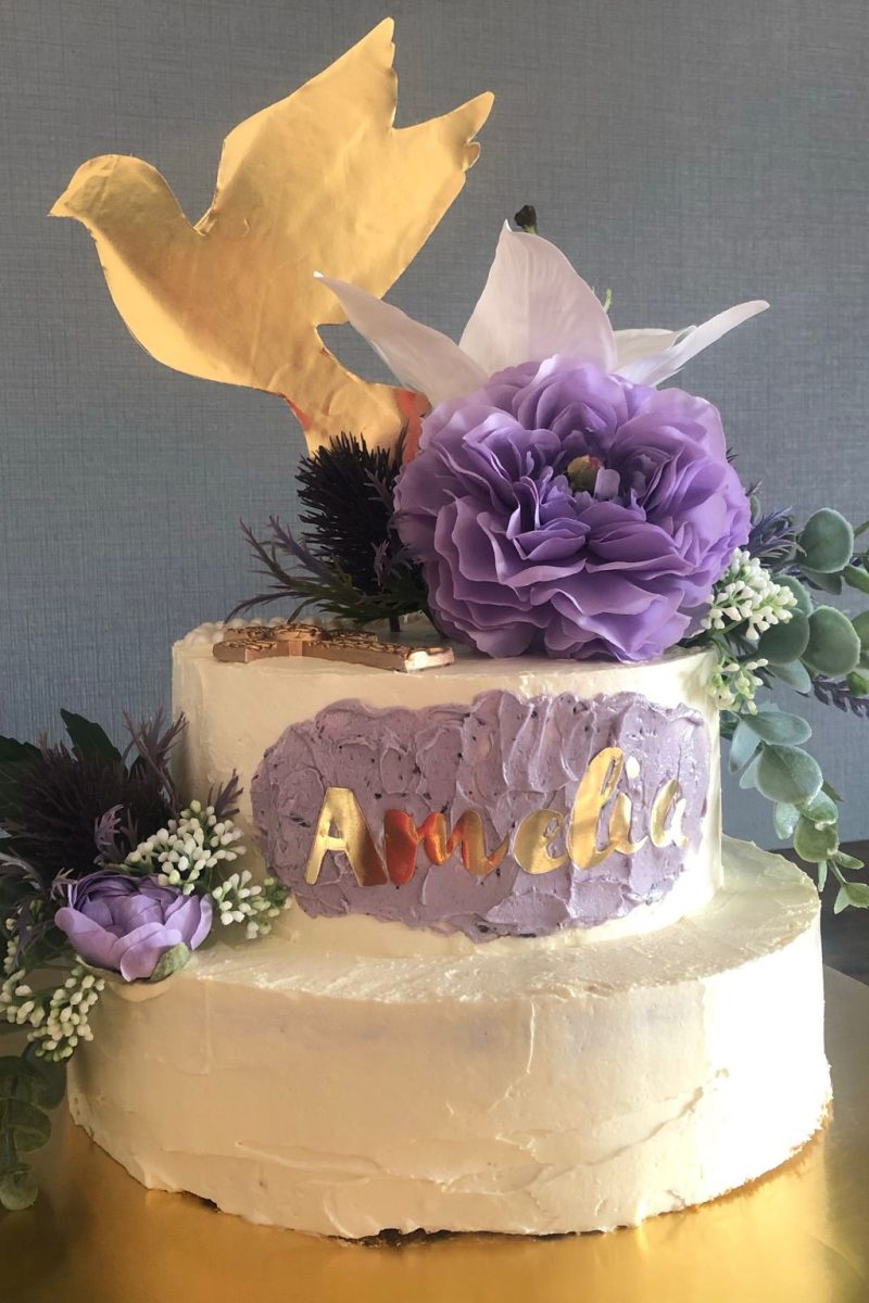 WhatsApp Image 2024-08-24 at 6.07.01 PM